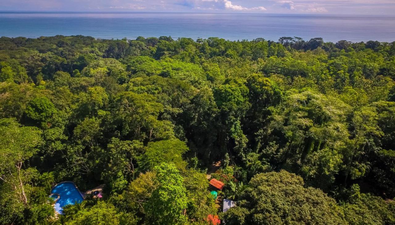 The Goddess Garden Eco-Resort Cahuita Εξωτερικό φωτογραφία