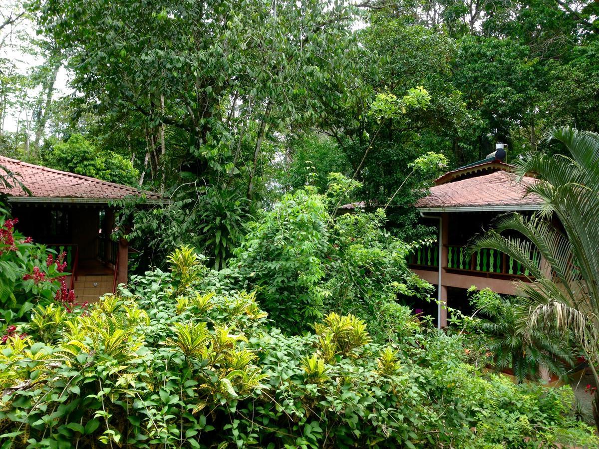The Goddess Garden Eco-Resort Cahuita Εξωτερικό φωτογραφία