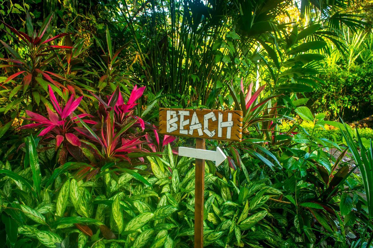 The Goddess Garden Eco-Resort Cahuita Εξωτερικό φωτογραφία