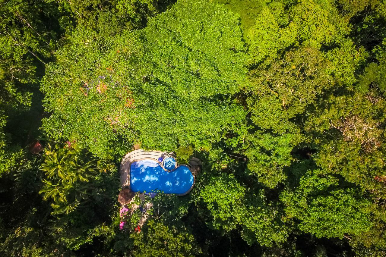 The Goddess Garden Eco-Resort Cahuita Εξωτερικό φωτογραφία